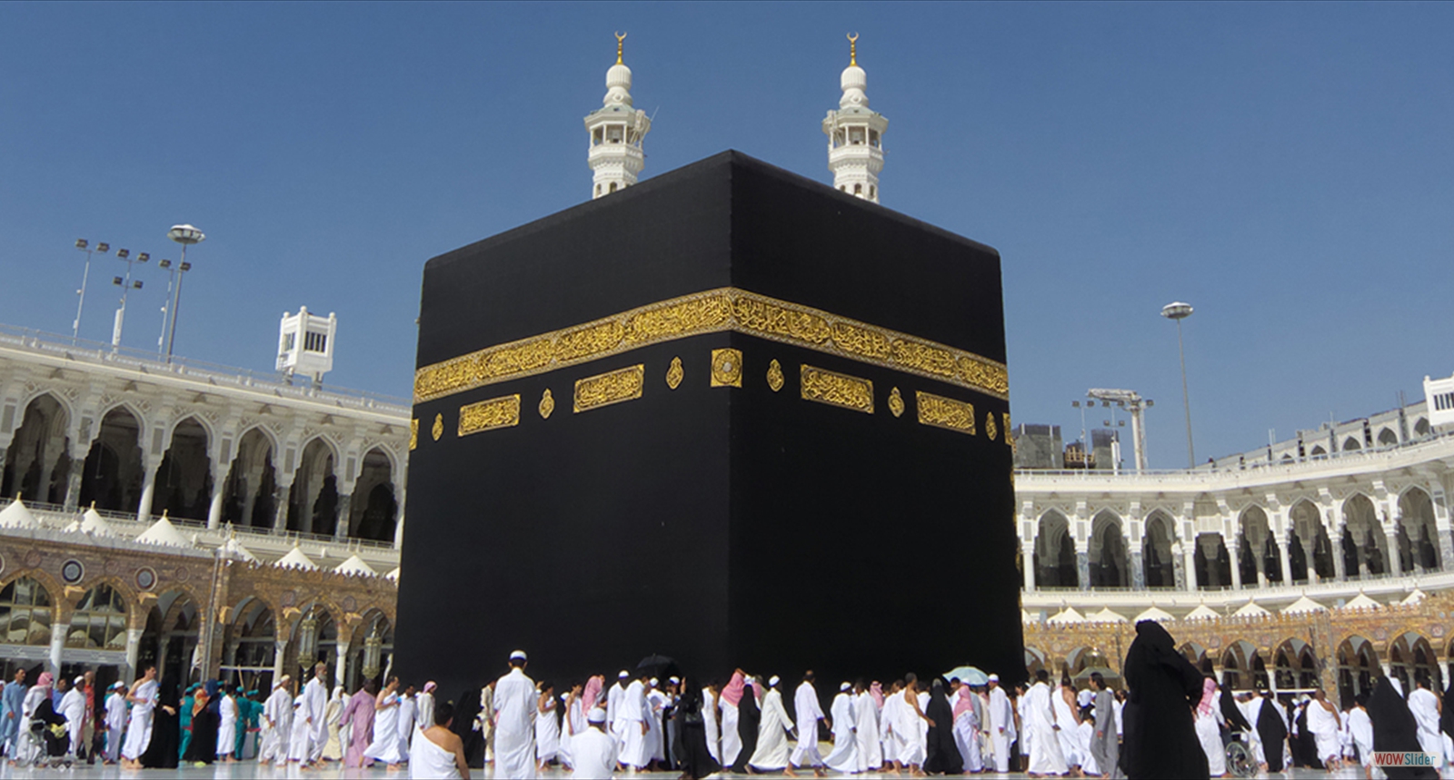 haj1