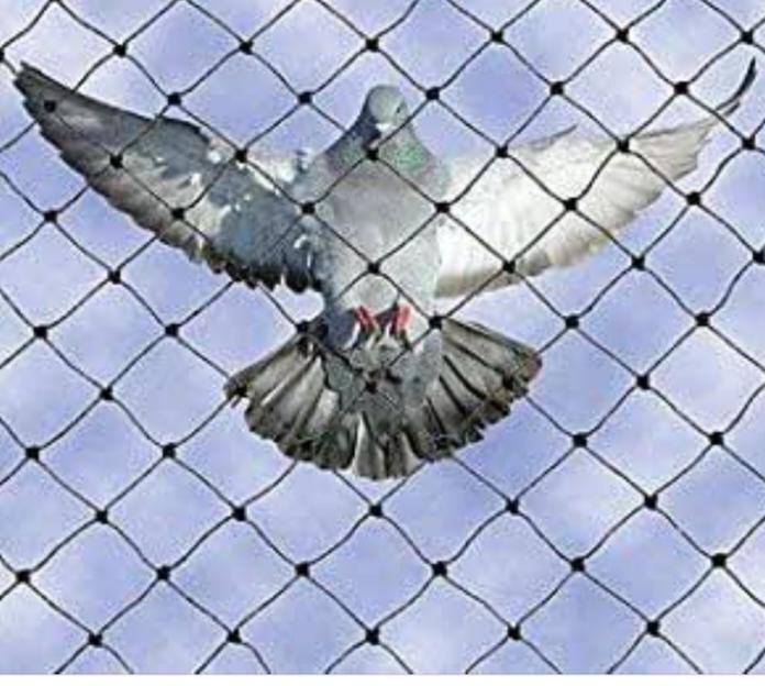 Bird Nets