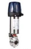 Mixing Proof Valve Weldable